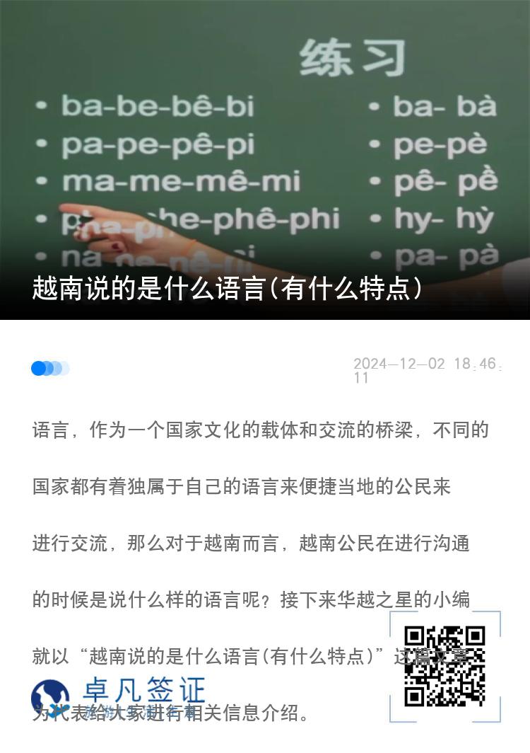 越南说的是什么语言(有什么特点)